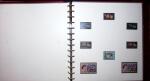 THEMATIC COLLECTION of sea shells in 9 albums