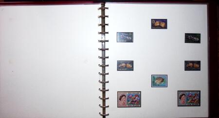 THEMATIC COLLECTION of sea shells in 9 albums