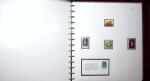 THEMATIC COLLECTION of sea shells in 9 albums