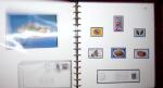 THEMATIC COLLECTION of sea shells in 9 albums