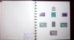 THEMATIC COLLECTION of sea shells in 9 albums