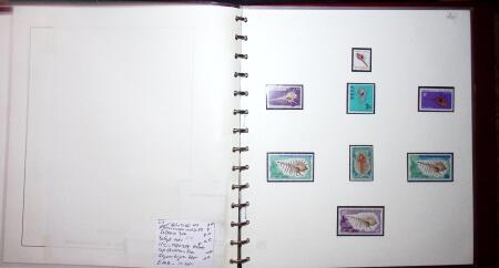 THEMATIC COLLECTION of sea shells in 9 albums