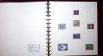 THEMATIC COLLECTION of sea shells in 9 albums
