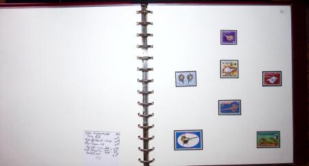 THEMATIC COLLECTION of sea shells in 9 albums