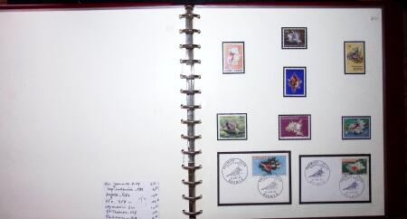 THEMATIC COLLECTION of sea shells in 9 albums