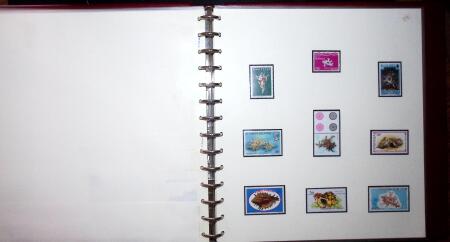 THEMATIC COLLECTION of sea shells in 9 albums