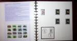 THEMATIC COLLECTION of sea shells in 9 albums