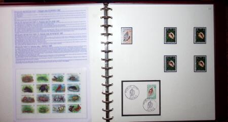 THEMATIC COLLECTION of sea shells in 9 albums