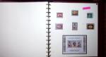 THEMATIC COLLECTION of sea shells in 9 albums