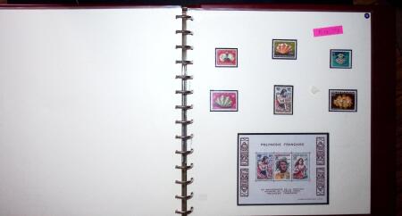 THEMATIC COLLECTION of sea shells in 9 albums