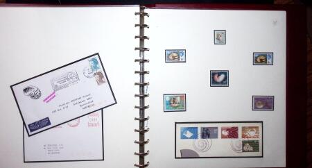 THEMATIC COLLECTION of sea shells in 9 albums