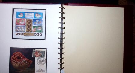 THEMATIC COLLECTION of sea shells in 9 albums