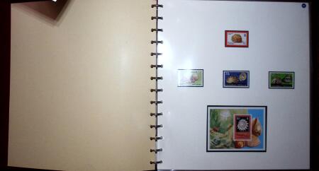 THEMATIC COLLECTION of sea shells in 9 albums