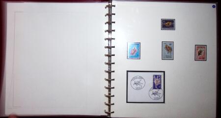 THEMATIC COLLECTION of sea shells in 9 albums