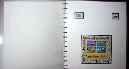 THEMATIC COLLECTION of sea shells in 9 albums