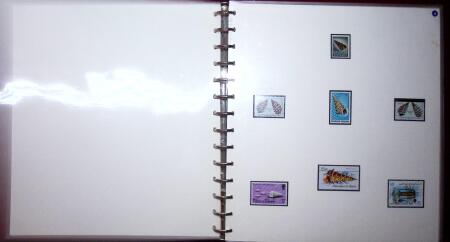 THEMATIC COLLECTION of sea shells in 9 albums