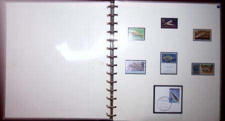 THEMATIC COLLECTION of sea shells in 9 albums