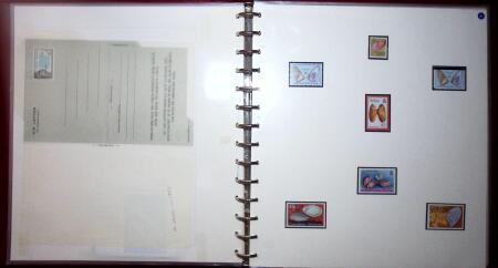 THEMATIC COLLECTION of sea shells in 9 albums
