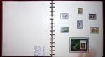 THEMATIC COLLECTION of sea shells in 9 albums
