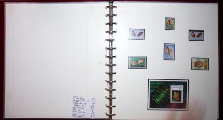 THEMATIC COLLECTION of sea shells in 9 albums