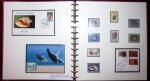 THEMATIC COLLECTION of sea shells in 9 albums