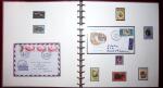 THEMATIC COLLECTION of sea shells in 9 albums