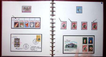THEMATIC COLLECTION of sea shells in 9 albums