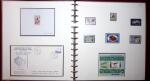THEMATIC COLLECTION of sea shells in 9 albums