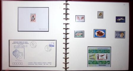 THEMATIC COLLECTION of sea shells in 9 albums