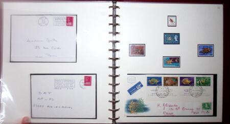 THEMATIC COLLECTION of sea shells in 9 albums