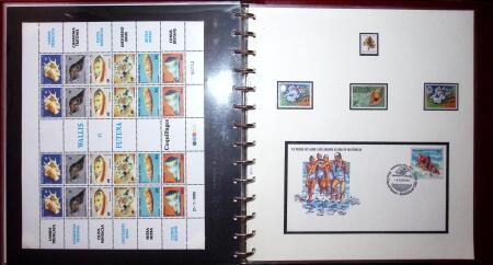 THEMATIC COLLECTION of sea shells in 9 albums