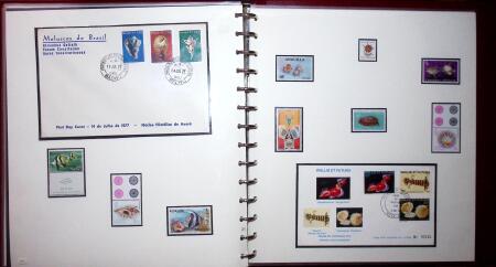 THEMATIC COLLECTION of sea shells in 9 albums
