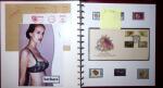 THEMATIC COLLECTION of sea shells in 9 albums