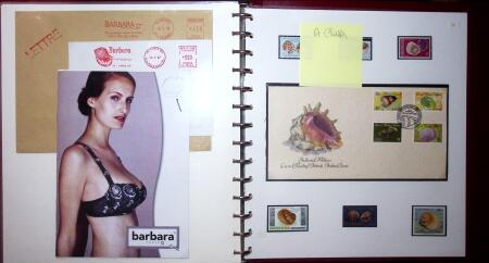 THEMATIC COLLECTION of sea shells in 9 albums