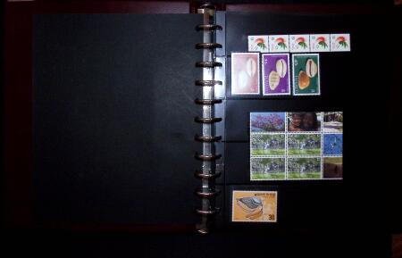 THEMATIC COLLECTION of sea shells in 9 albums