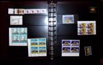 THEMATIC COLLECTION of sea shells in 9 albums
