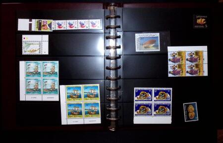 THEMATIC COLLECTION of sea shells in 9 albums