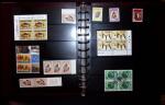 THEMATIC COLLECTION of sea shells in 9 albums