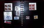 THEMATIC COLLECTION of sea shells in 9 albums
