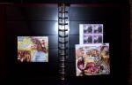 THEMATIC COLLECTION of sea shells in 9 albums