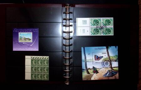 THEMATIC COLLECTION of sea shells in 9 albums