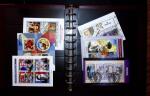THEMATIC COLLECTION of sea shells in 9 albums