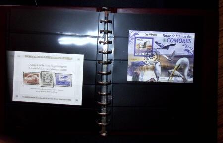 THEMATIC COLLECTION of sea shells in 9 albums