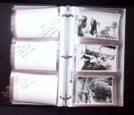 1918-2009 Strong collection of Poland incl. Essays,