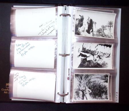 1918-2009 Strong collection of Poland incl. Essays,