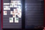 1855-1999 All world collection in 2 large boxes with