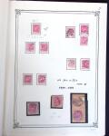 1876-1900 Belle étude sur les Type Sages avec de multiples