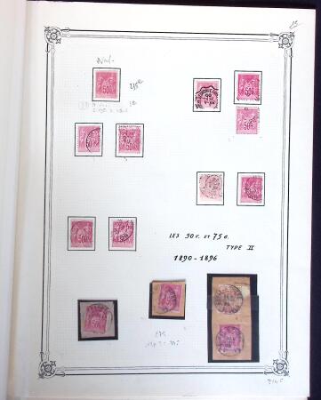 1876-1900 Belle étude sur les Type Sages avec de multiples