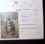 1830-1961, Ensemble de 296 cartes et lettres avec principalement