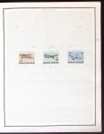 1874-1940 Old-time Hungary collection on pages, plus